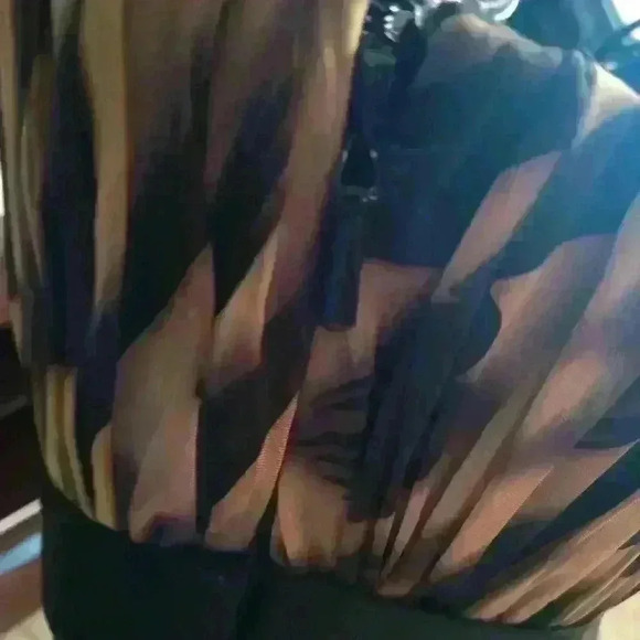 LaFemme Gown/ Dress Leopard Print Size 0 - Picture 9 of 16